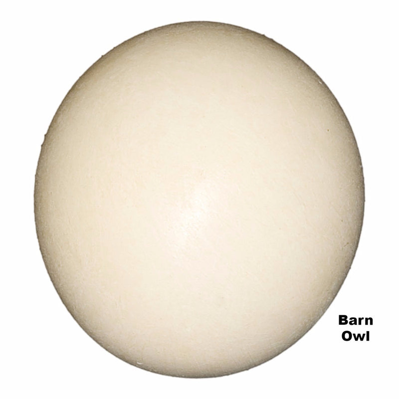 Replica Barn Owl Egg (39 mm)