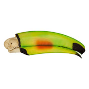 Replica Keel-billed Toucan Skull