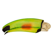 Replica Keel-billed Toucan Skull