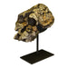 Replica Kenyanthropus Skull
