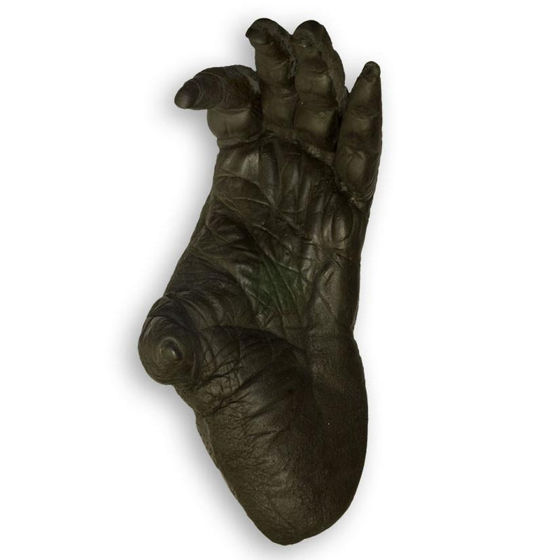 Replica Sumatran Orangutan Left Foot - Male
