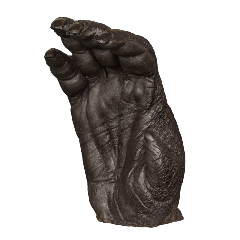Replica Sumatran Orangutan Right Hand - Male