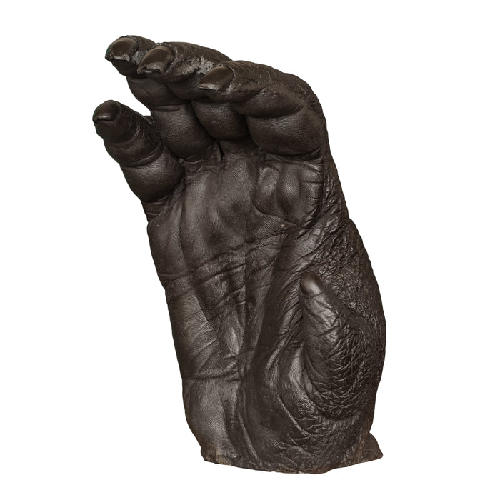 Replica Sumatran Orangutan Male Right Hand