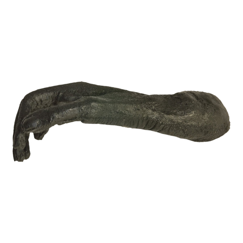 Replica White-handed Gibbon Foot