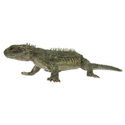Replica Tuatara Life Cast