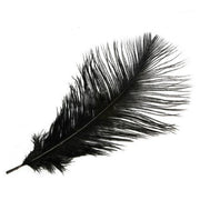 Real Ostrich Feather - Single