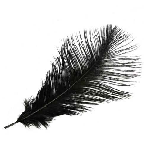 Real Ostrich Feather - Single