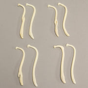 Real Healed Raccoon Bacula Comparison Set (Pathology)