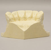 Replica Orthodontic Study Model