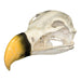 Replica Lappet-faced Vulture Skull