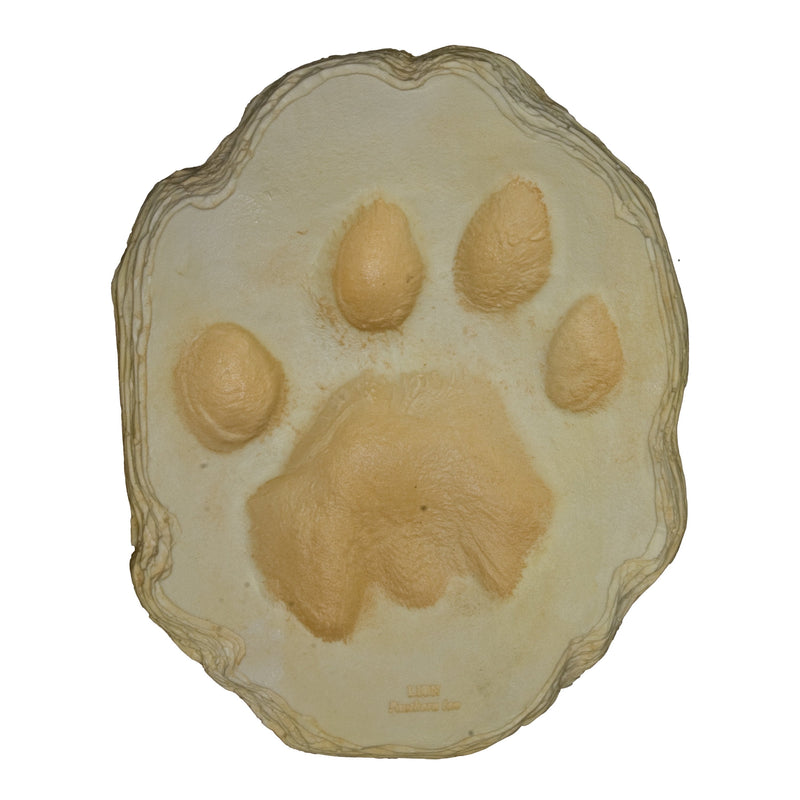 Replica African Lion Footprint