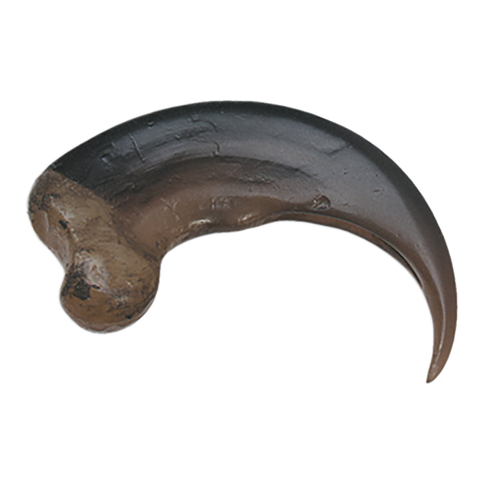 Replica American Black Bear Claw (8cm)