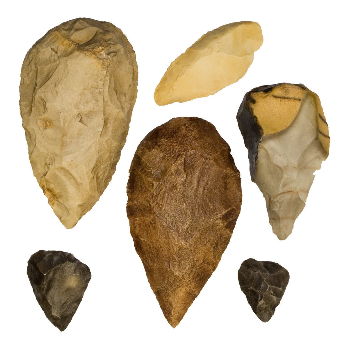 Replica Fossil Hominid Tools Set of 6 For Sale — Skulls Unlimited