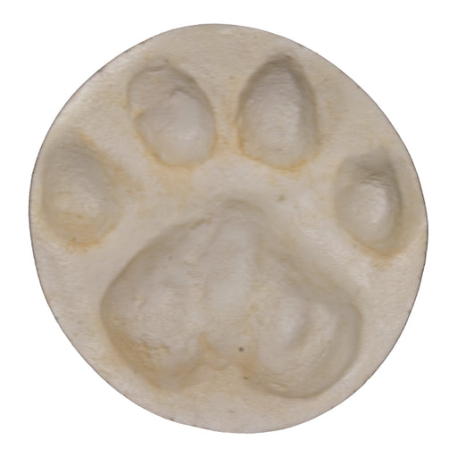 Replica Mountain Lion Negative Footprint