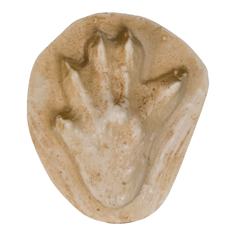 Replica American Mink Negative Footprint