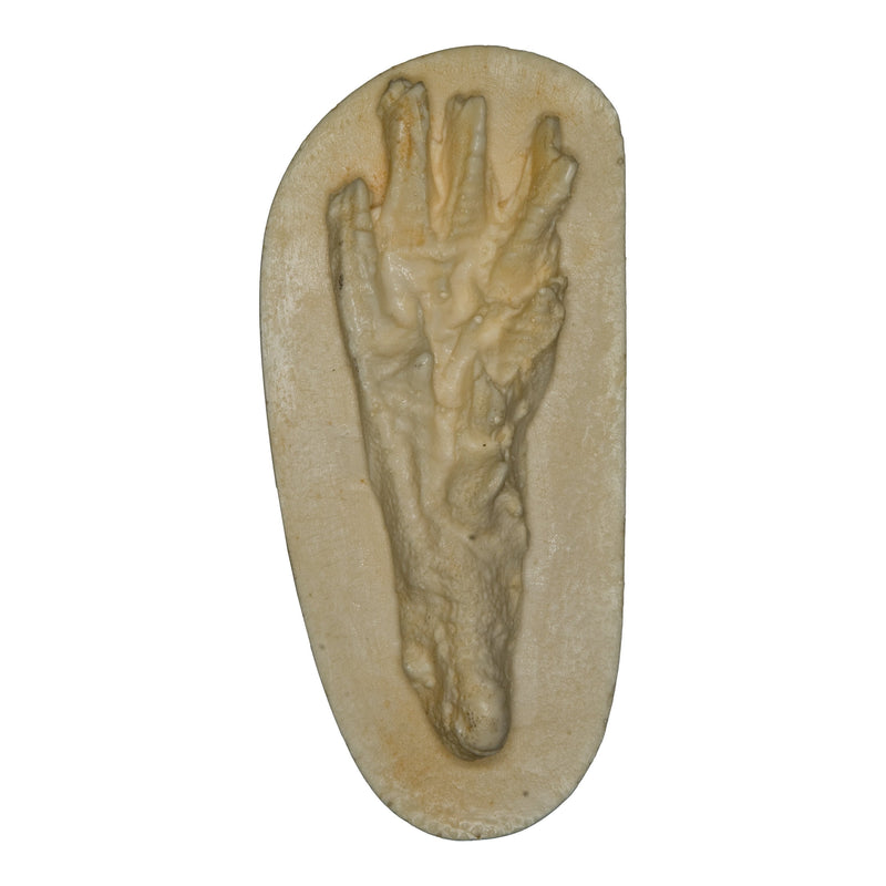 Replica Muskrat Negative Footprint