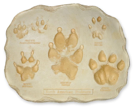 Replica Large Predator Footprint Plaque