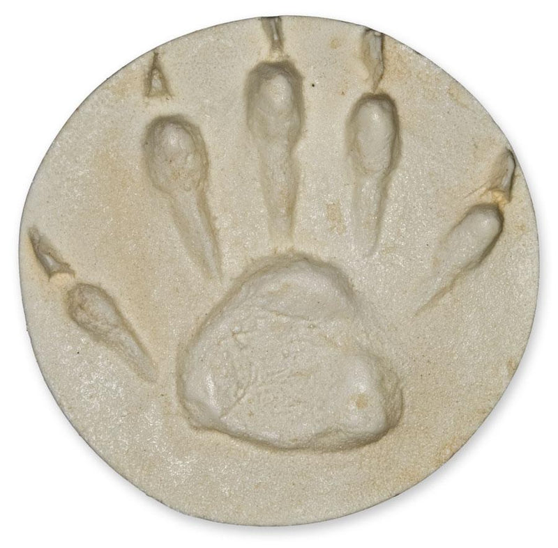 Replica Raccoon Negative Footprint