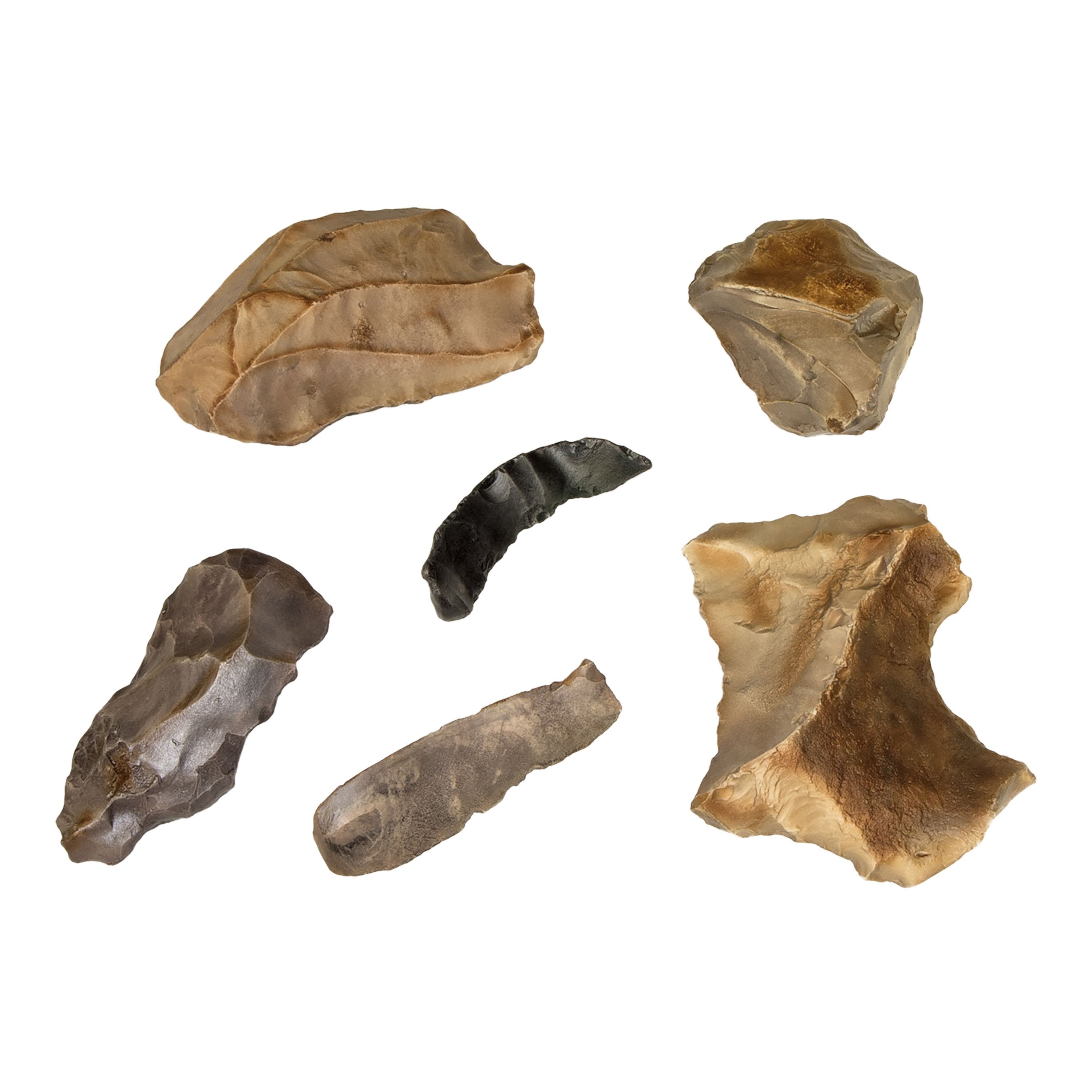 Neanderthal Shell Tools Neanderthals Tools