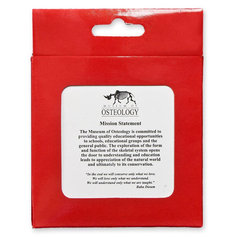 SKELETONS: Museum of Osteology Brass Giraffe Ornament