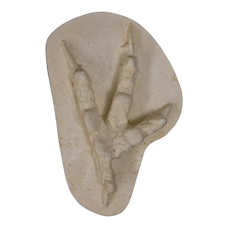 Replica Great Horned Owl Negative Footprint