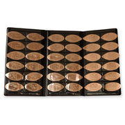 Pressed Penny Passport Holder