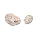 Real Puppy & Kitten Set