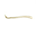 Replica American Badger Baculum