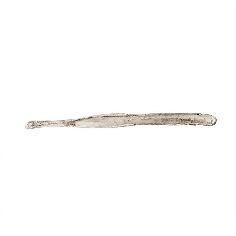 Replica Coyote Baculum