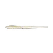 Replica St. Bernard Dog Baculum