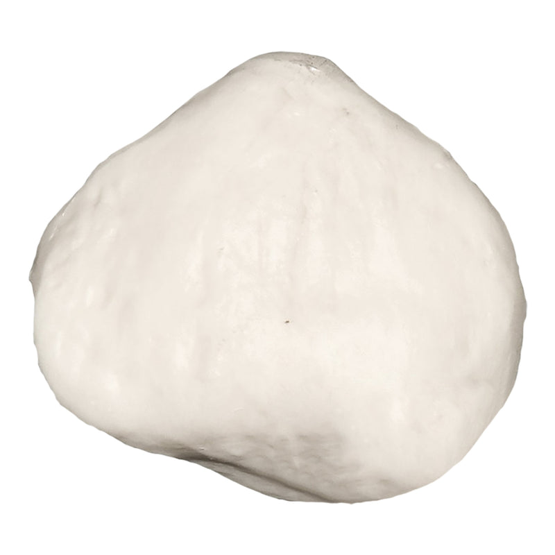 Replica Human Patella