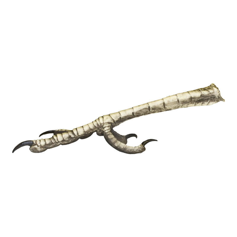 Replica Roadrunner Foot