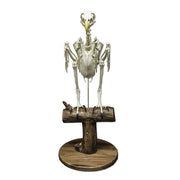 Replica Bald Eagle Skeleton