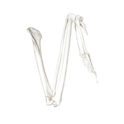 Replica Golden Eagle Wing - Articulated