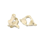 Real Human Atlas or Axis