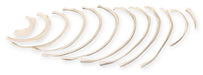Replica Human Set of 12 Ribs