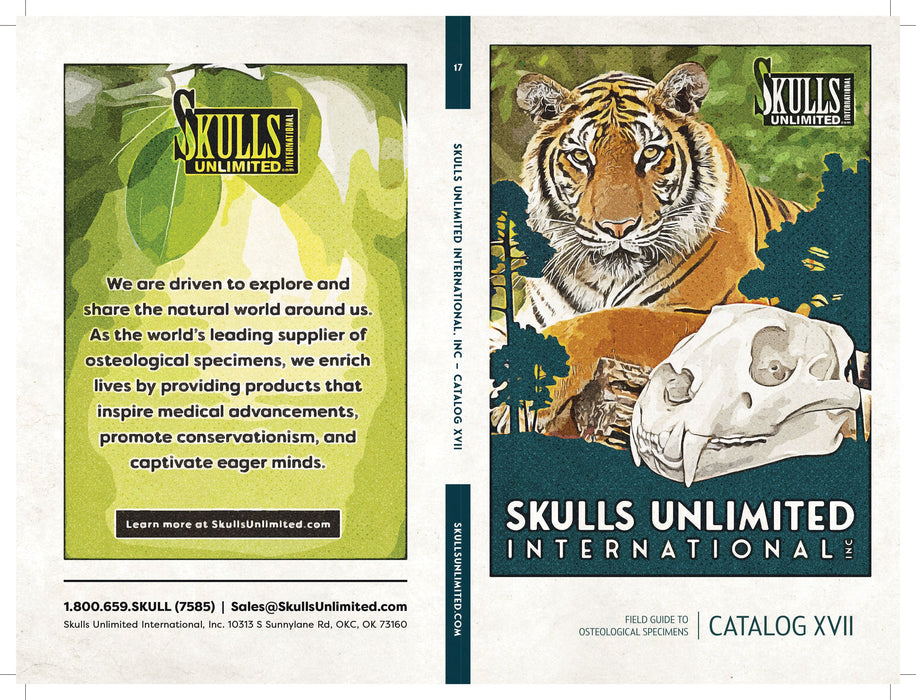 Skulls Unlimited Catalog (Vol. 17) — Skulls Unlimited International, Inc.