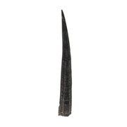 Real Steenbok Horn - Single