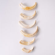 Real Bag-O-Warthog Tusks