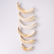 Real Bag-O-Warthog Tusks