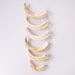 Real Bag-O-Warthog Tusks