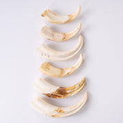 Real Bag-O-Warthog Tusks