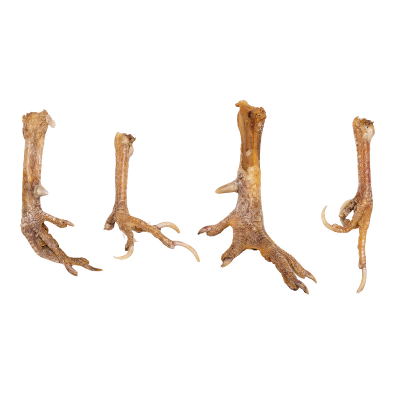 Real Chicken Foot - Single