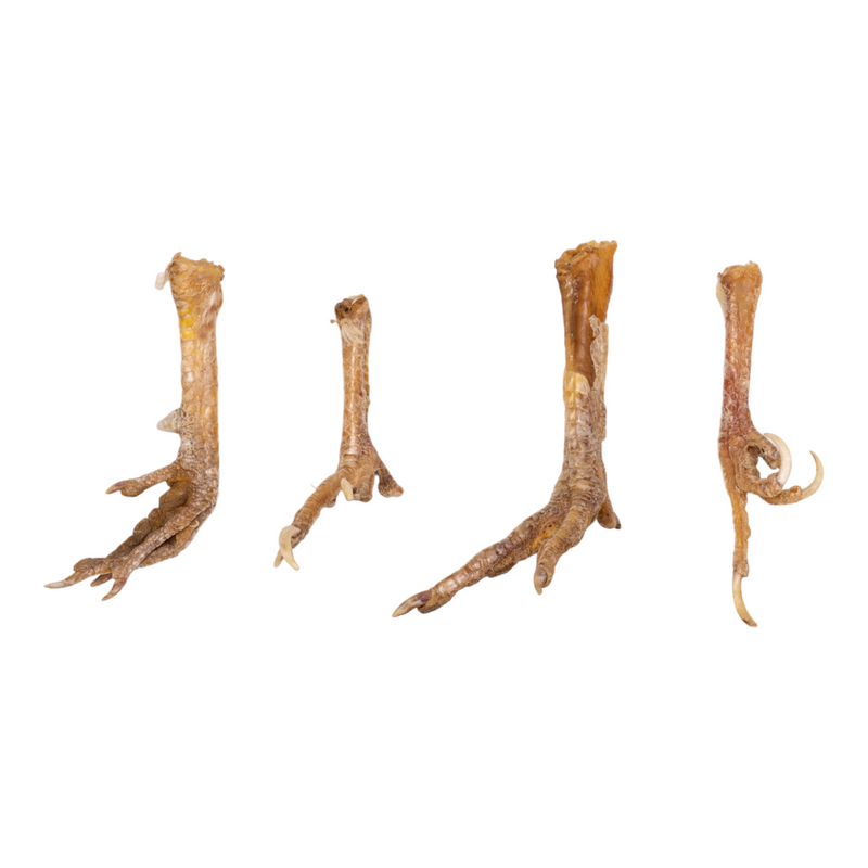 Real Chicken Foot - Single