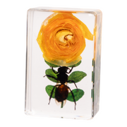 Real Insect and Flower in Acrylic