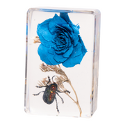 Real Insect and Flower in Acrylic