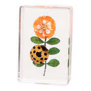 Real Insect and Flower in Acrylic