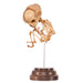 Real Human Fetal Skeleton On Stand