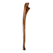 Real Human Ulna - Antique