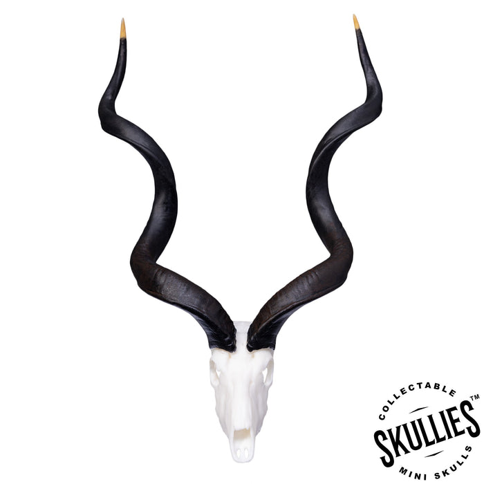 SKULLIES - Miniature Kudu Skull (1/6th)